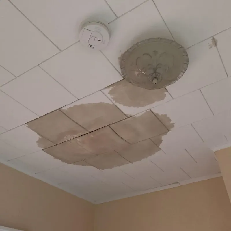 Ceiling Water Damage Repair in Brunswick, NC