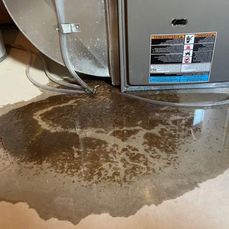 Pipe Burst and Leak Restoration in Brunswick, NC