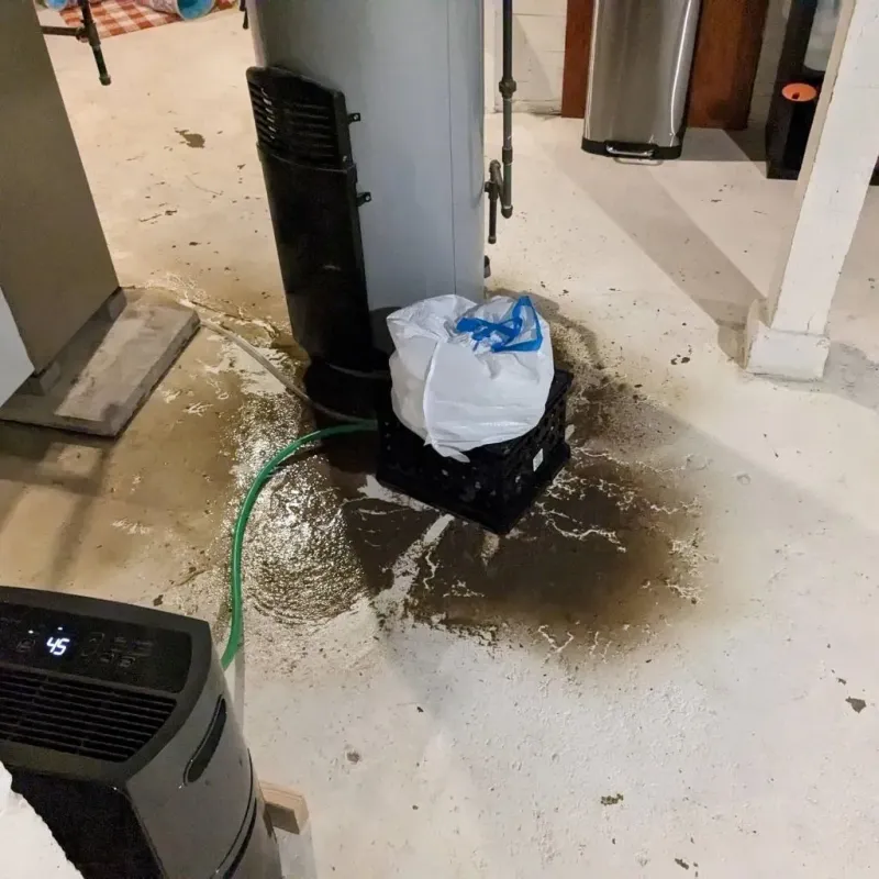 Sewage Backup Cleanup Service in Brunswick, NC